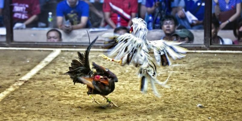 xo88 ﻿đăng nhập lô đề uy tín