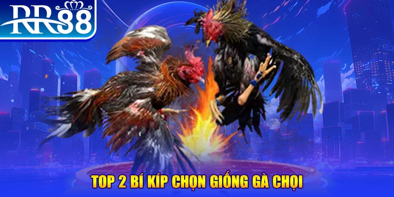 xo88 bắn cá h5
