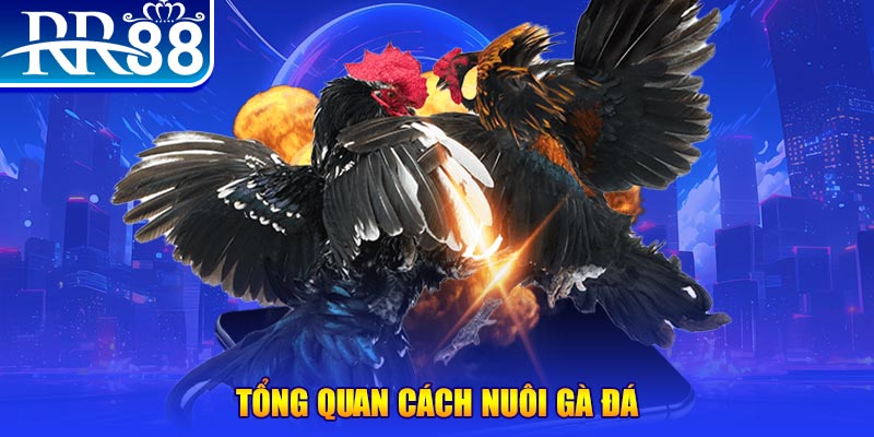 xo88 xổ số thứ ba