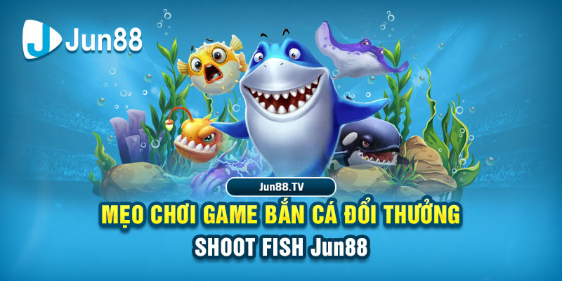 tải game đánh bài online về máy tính