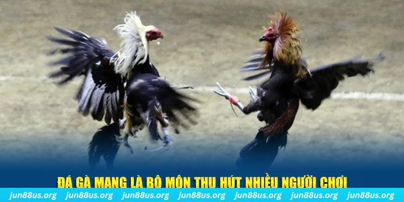 xo88 xổ số long an