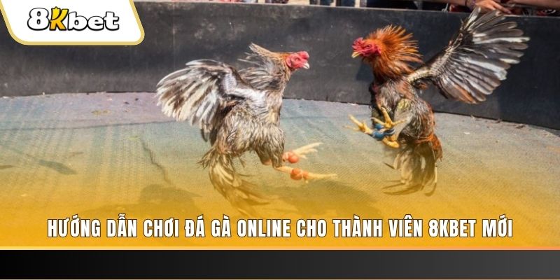 xo88 nổ hũ đổi thưởng . ai