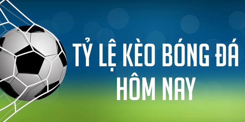 xo88 ÁT CHỦ MÁY HOA QUẢ THẦN TÀI