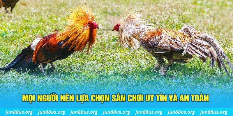 xo88 Tài Xỉu