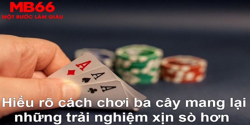 xo88 DB Trực Tuyến