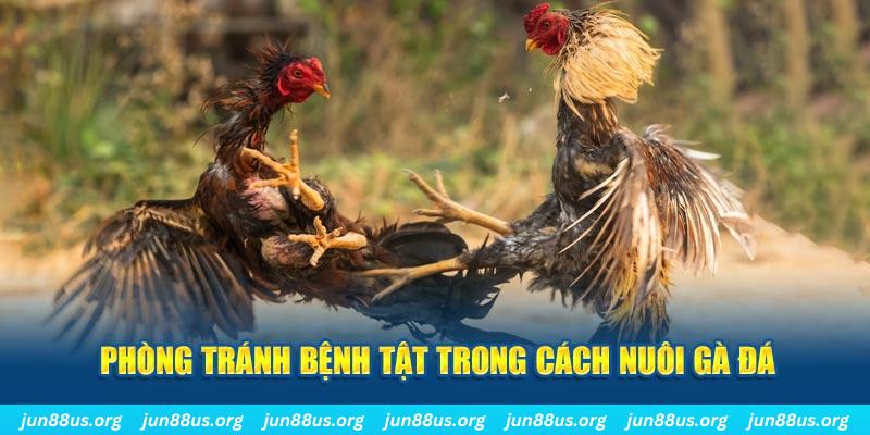 xo88 natural” trong baccarat nghĩa là gì？