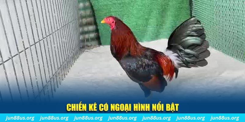 xo88 nhạc slot là gì